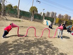 -菊园百果园