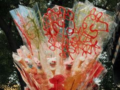 -青果巷历史文化街区