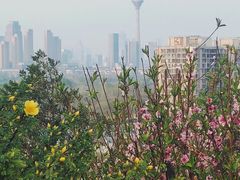 -南翠屏公园