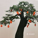 盆景艺术，匠心独具