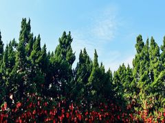 -莆田湄洲妈祖祖庙