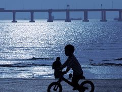 -宝安西湾红树林湿地公园