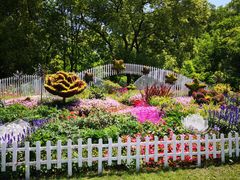 -上海共青森林公园