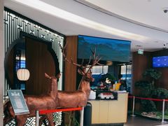 -新白鹿餐厅(虹桥南丰城店)