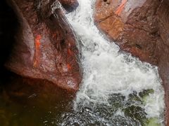 -小五台金河景区