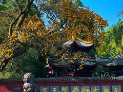 -峨眉山报国寺