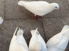 -人民广场