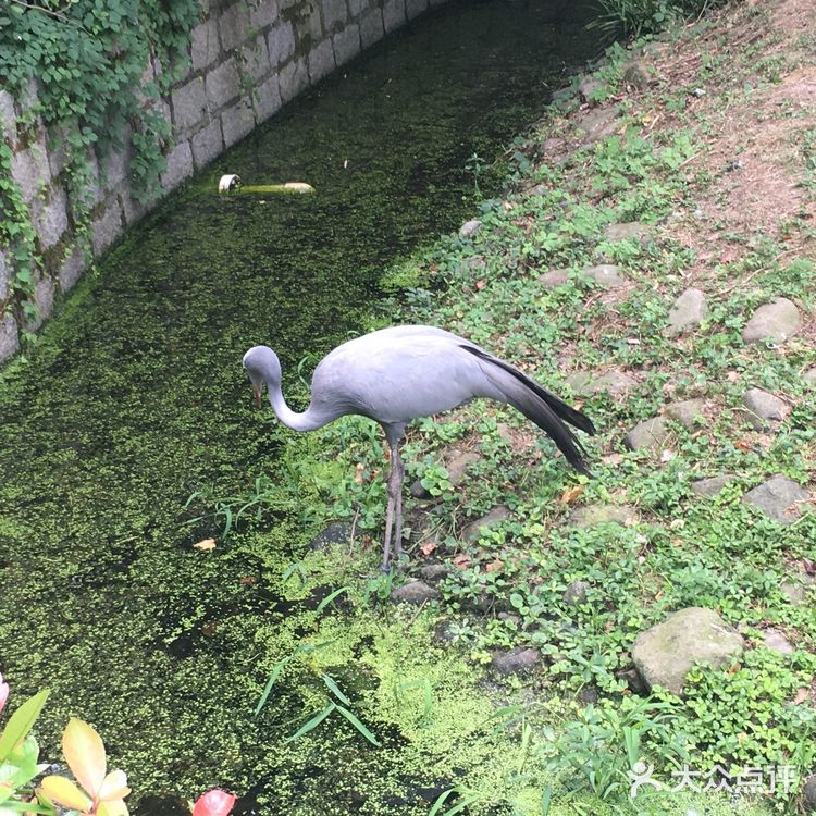 野生动物园