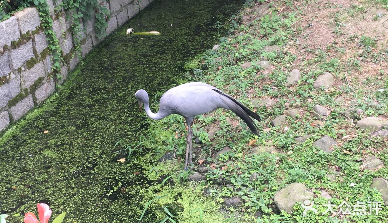 野生动物园