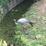 野生动物园