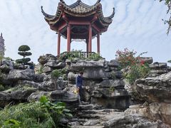 -顺峰山公园