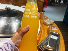 -刘淑芬·活鱼铁锅炖(北京首店)