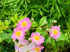 -浮山风景名胜区