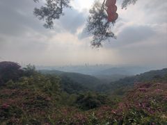 -广州市白云山风景名胜区