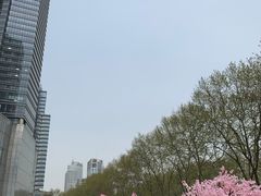 -金茂览秀城