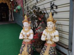 -西双版纳傣族园