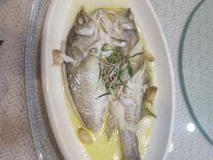 -南湖船菜大酒店