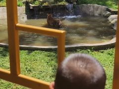 -横道河子东北虎林园