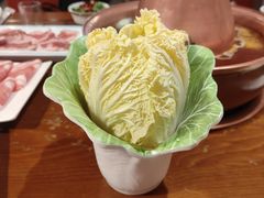 -前门杨记·铜锅涮肉(王府井·故宫店)