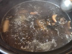 -滇野云南野生菌餐厅(陕西南路店)