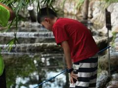 -成都市活水公园