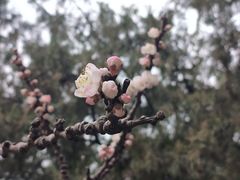 -颐和园