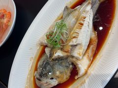 -鲍氏金勺子(恒大店)
