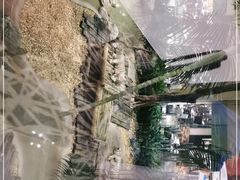 -麒麟中餐厅·经典粤菜·地道菜式老字号(广州长隆酒店)