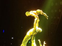 -珠海横琴长隆《卡卡虎奇遇记》