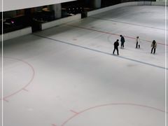 -TheRink大零溜冰场(IFS国金中心店)