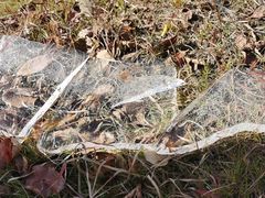 -南京市江宁方山