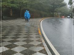 -庐山风景区花径公园