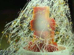 -海湾壹品·粤菜·早茶·烤鸭(拱北店)