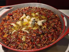 -雲蜀龙阁·金牌水煮鱼(方庄店)