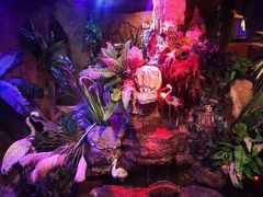 -醉小酒馆·川菜·江湖菜·重庆菜(观音桥旗舰店)