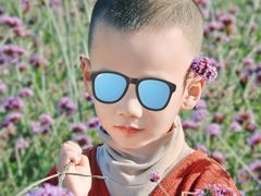 -天津东丽湖风景区