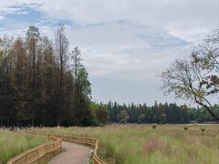 -艾溪湖湿地公园