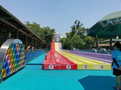 -苏州乐园森林水世界