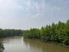 -上海长兴岛郊野公园