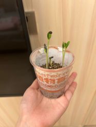 -中法母婴月子中心(南湖创始店)