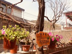 -何适山庄 ·可团建(水长城P2停车场店)