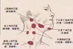 -名发世家烫染