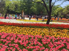 -沈阳植物园