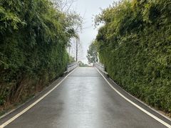 -洋湖国家湿地公园