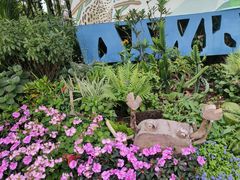 -福田红树林生态公园