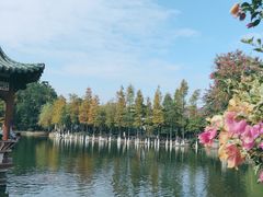 -东莞市可园博物馆