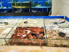 水产区-川骄海鲜自助(亚运村店)
