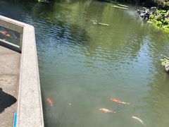 -杭州西湖柳莺里酒店