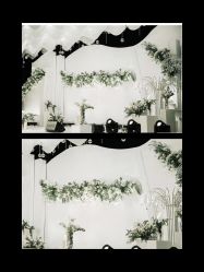 -保定金沙芝柏婚礼策划