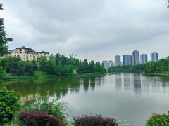 -东岳体育公园